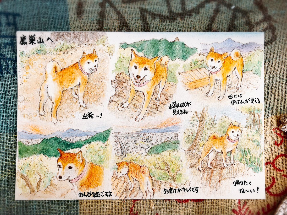 柴犬イラスト のイラスト マンガ作品 119 件 Twoucan