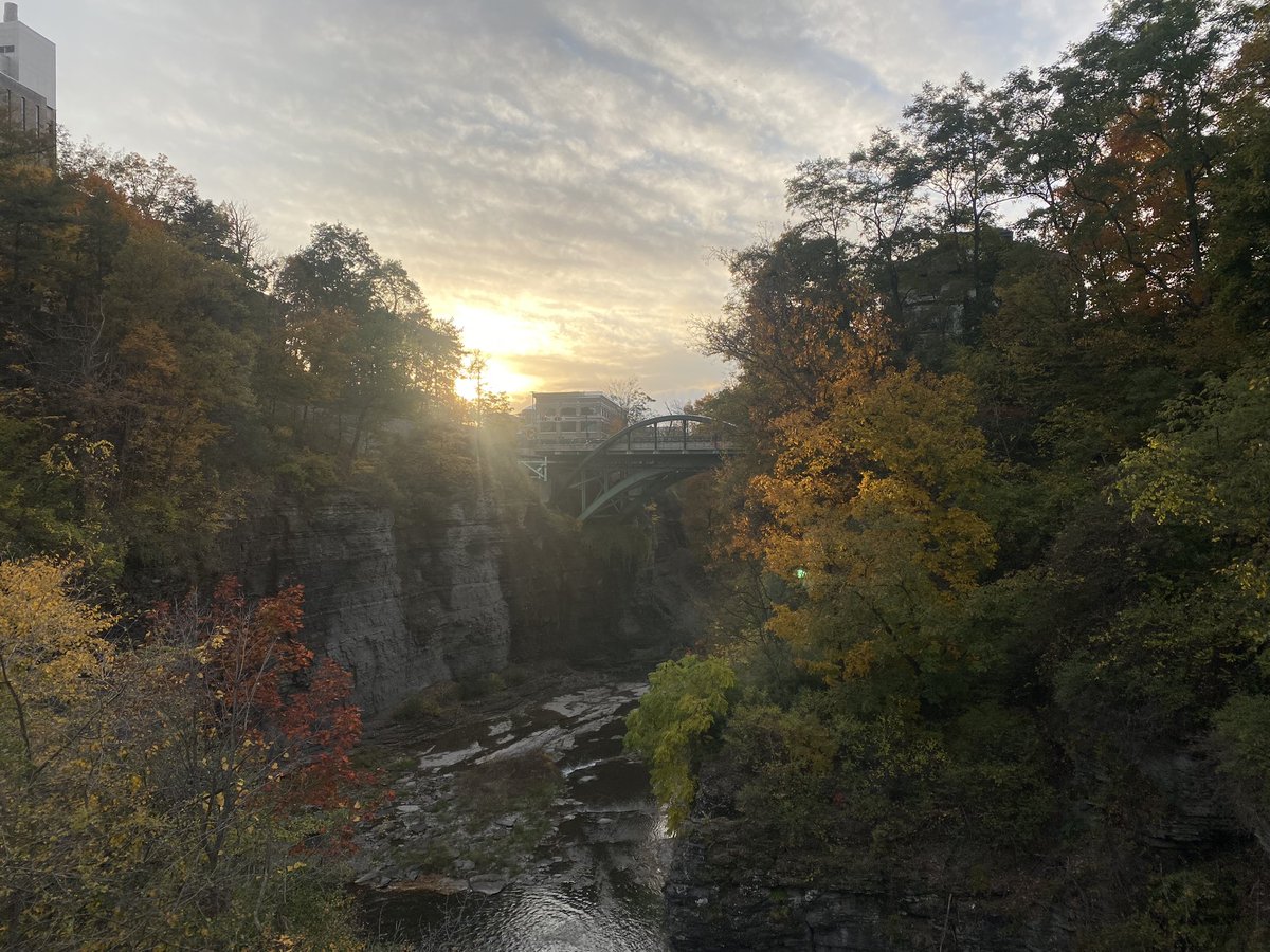 ra_ordiales's tweet photo. Cornell University. Just spectacular 🍁 #CARE #Cornell https://t.co/dhGwSZH1Tt