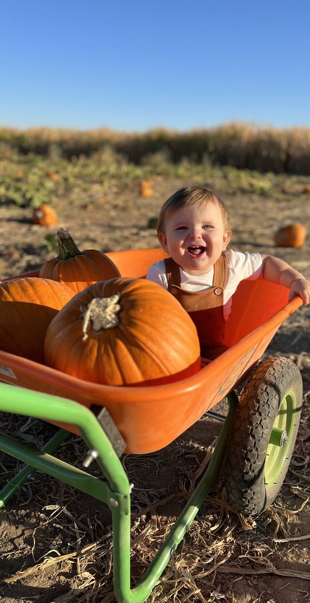 T_Rausa's tweet photo. Brooks turned 1 today. We had a great time at @ZooBoise and pumpkin patch later in the evening. I still can’t believe he’s a year already❤️ https://t.co/uvwYCio9fd