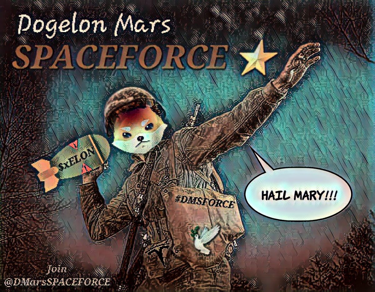DMarsSPACEFORCE's tweet photo. @DogelonMars #DogelonMars
$Elon #DMSFORCE $xElon
@mfoundation @DogelonWarriors
@DogelonArmy #DogelonArmy
#DogelonWarriors
πΆπ½π΄
Hail Mary! #kaboom https://t.co/QgwgZL29Af