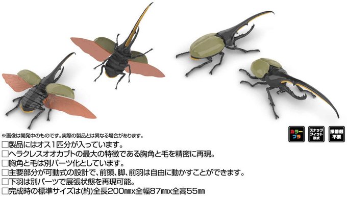 ヘラクレスオオカブトのtwitterイラスト検索結果 ヘラクレスオオカブトのtwitterイラスト検索結果