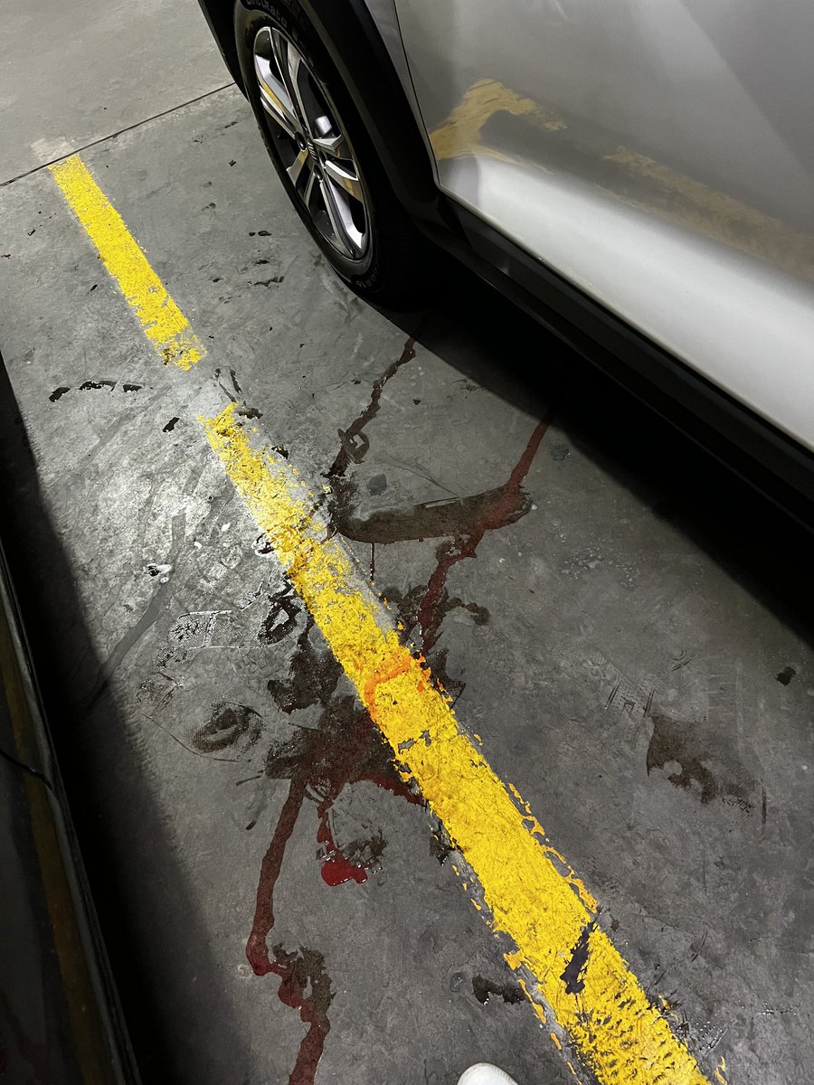 cuartodemillamx's tweet photo. Montserrat compró un #Fiat #Pulse en #Autopolanco y con menos de 1,800 km lleva 6 visitas a la agencia, sigue tirando anticongelante, el cargador inalambrico no sirve y no tiene respuesta alguna concreta de la agencia.
Tu comprarías un #FiatPulse? https://t.co/P5wwZQqDgU