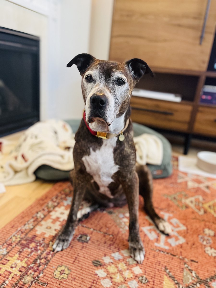 i ❤️ a FREE Palestine (she/her) tweet media