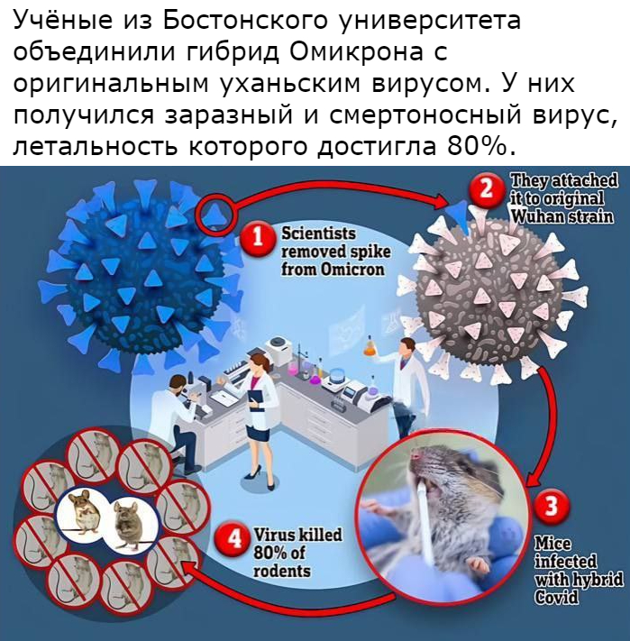 DerArto's tweet photo. У МЕНЯ БЛЯДЬ ОДИН ВОПРОС https://t.co/WS6GxOycTq