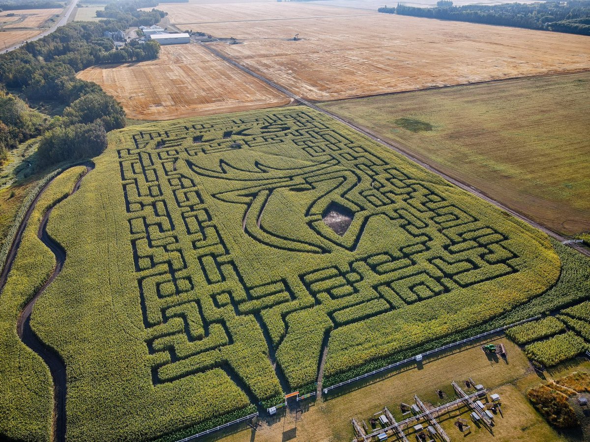 All good things must come to an end, and unfortunately October 23rd will be our last day for 2022. We’ll be open for the next week as follows: Tuesday- Saturday 10am-8pm Sunday October 23rd 1pm-5pm. edmontoncornmaze.ca #goelks