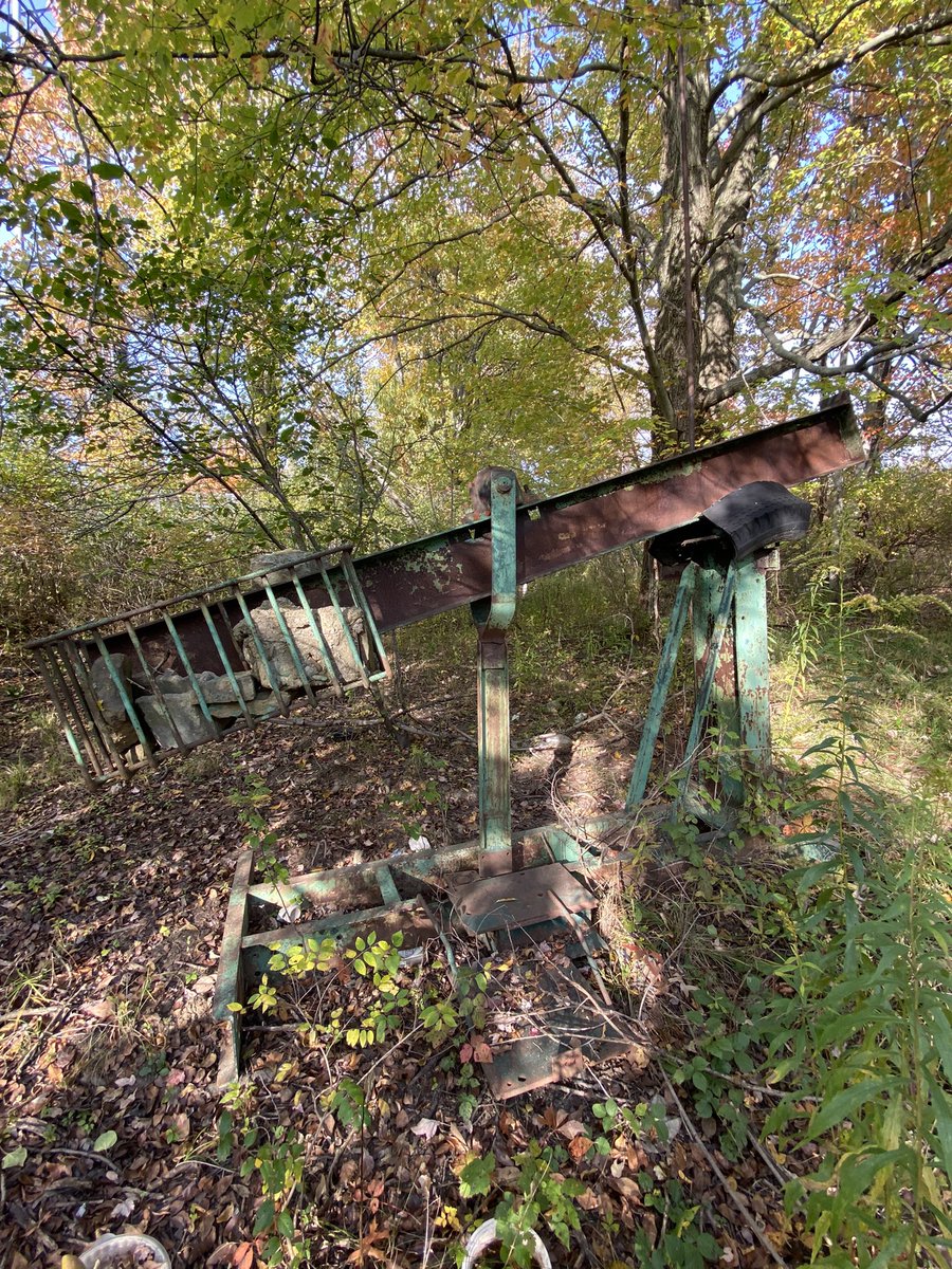 Amy 💚 tweet media