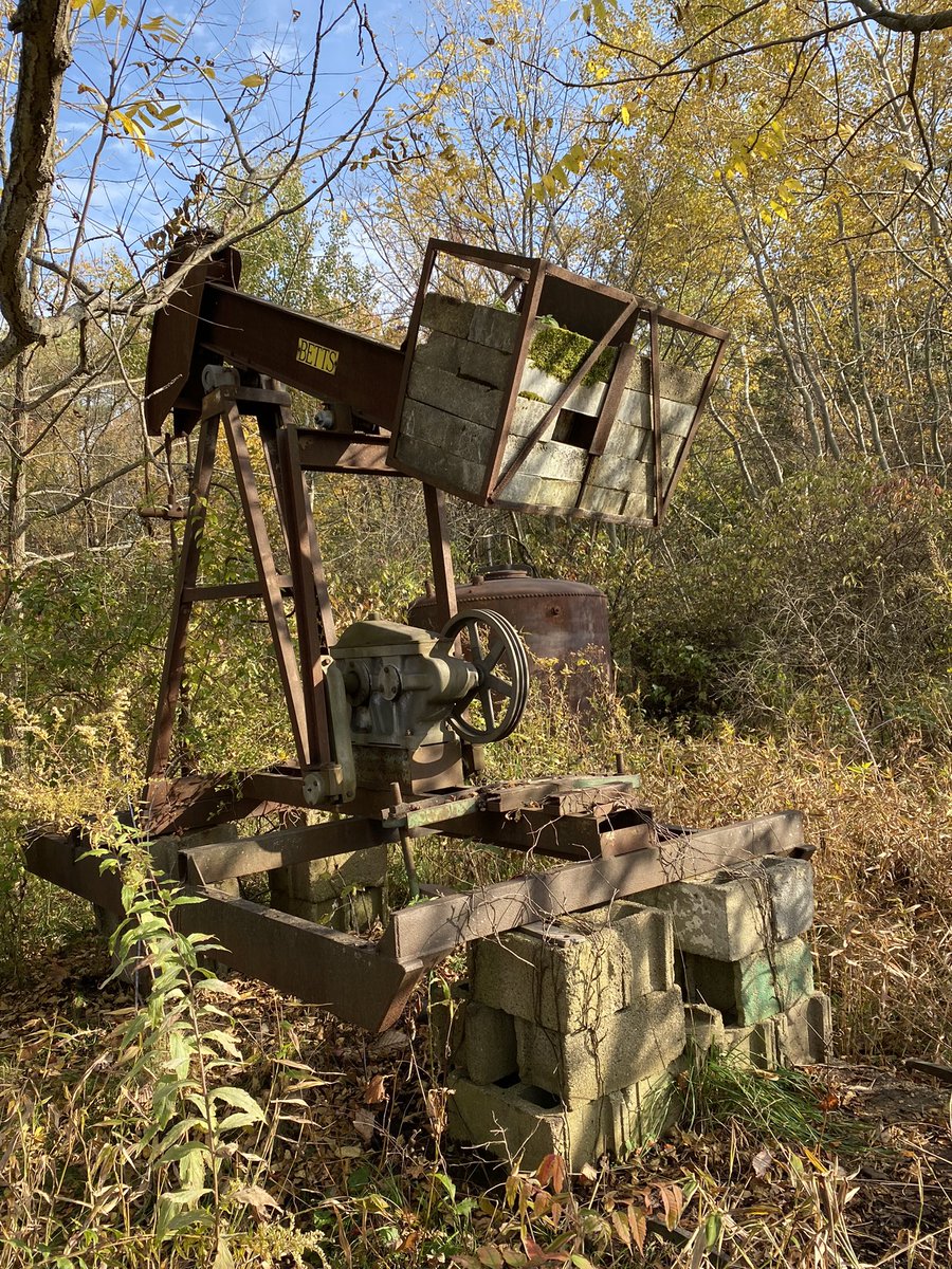 Amy 💚 tweet media