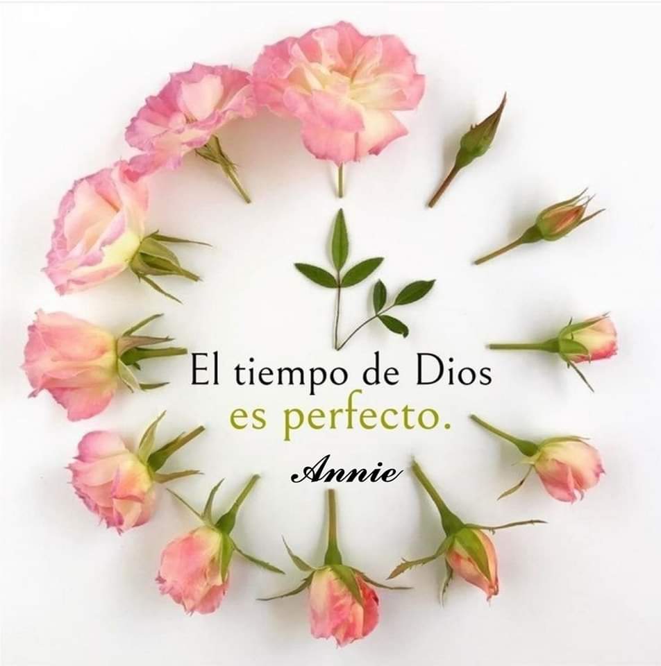 Doloroso, pero el es sabio...