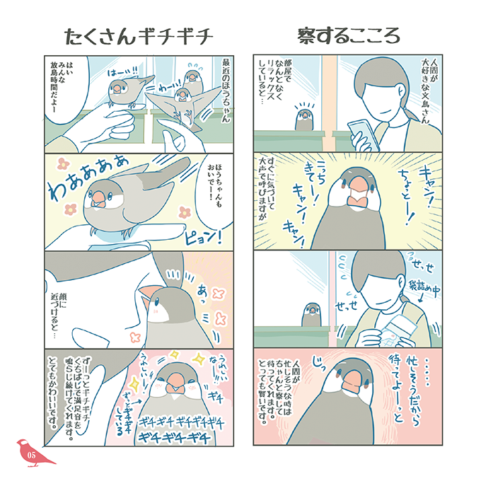 新刊「BUNCHOBOXおはな」
フルカラーの四コマ漫画が詰まったてのひらサイズの本です。今回は描き下ろしとして鳥用おかゆさんの作り方漫画といつものように四コマ漫画も入れました。
#文鳥まつり #文鳥まつり2022 #文鳥まつり14