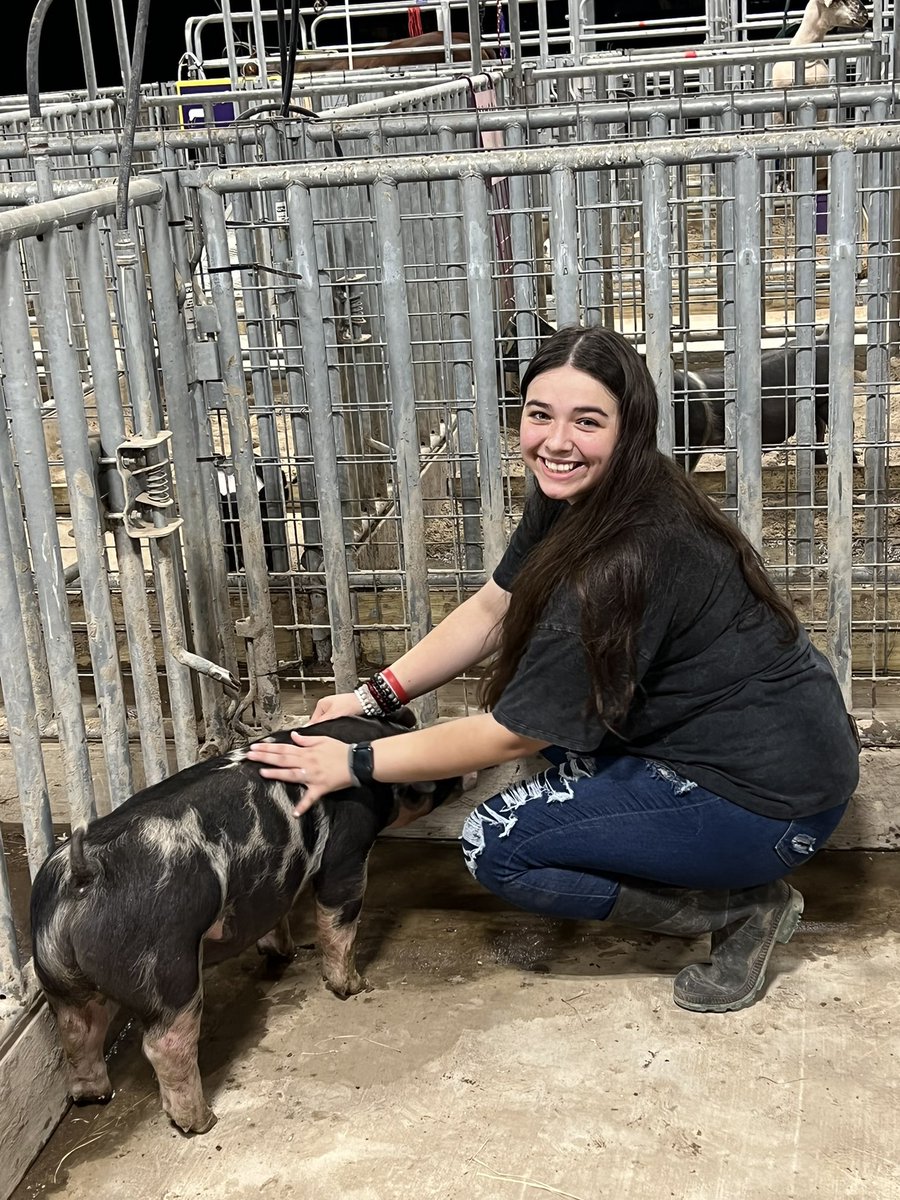 FFA_Memorial's tweet photo. @FFA_Memorial Show Team moved the first 2 show pigs into the barn tonight!!! Looking forward to the year Daisy &amp; Juaquin will have. @McAllenMemorial @McAllenISD @McAllenISDCTE https://t.co/hjno9XVF4l