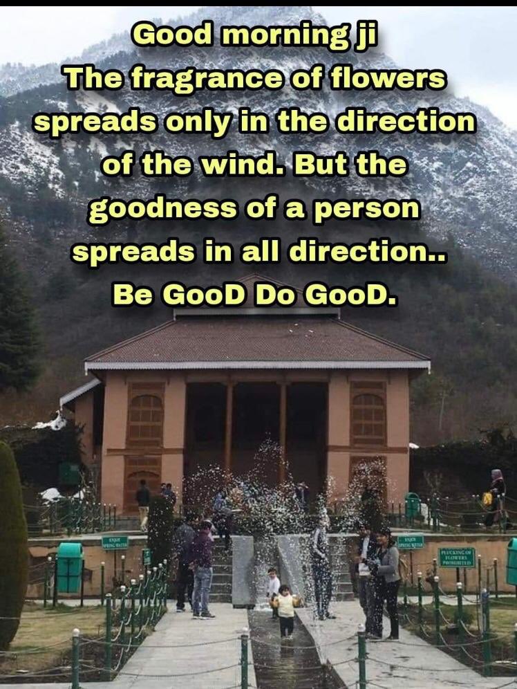 TThoria's tweet photo. #GoodMorningEveryone #haveablessedday🧿🙌😇 https://t.co/Jxe8JFcxhw