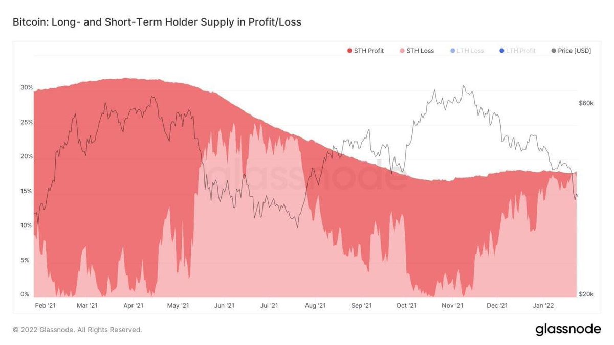 Glassnode: Only 5% of Short-Term Holders Have Profited on Bitcoin