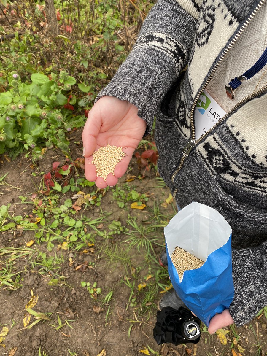 ADLatornell's tweet photo. Boyne Restoration - @ConservHalton is working with the Milton Phase 3 Landowners Group to implement a 10-year natural heritage system restoration project on lands to be dedicated to the @TownOfMiltonON. #Latornell #reimaginingconservation #restoration #partnership https://t.co/csvaEpxyrT