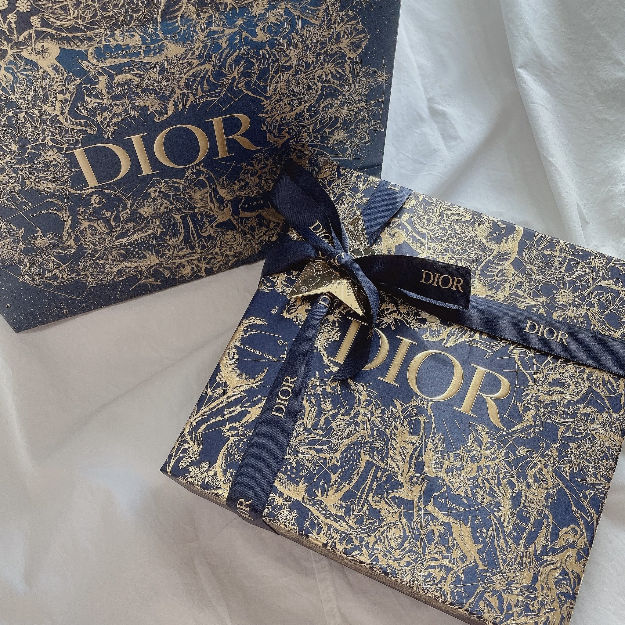 Dior ポーチ 星座ディオール - ポーチ/バニティ