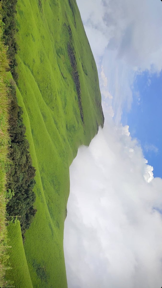 Yuvistrong10's tweet image. GOOD morning nature tweeple 

Netravathi peak #walllpapermaterial #netravathi #kudhremukh