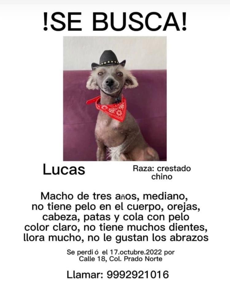 Ayuda, por favor con un RT