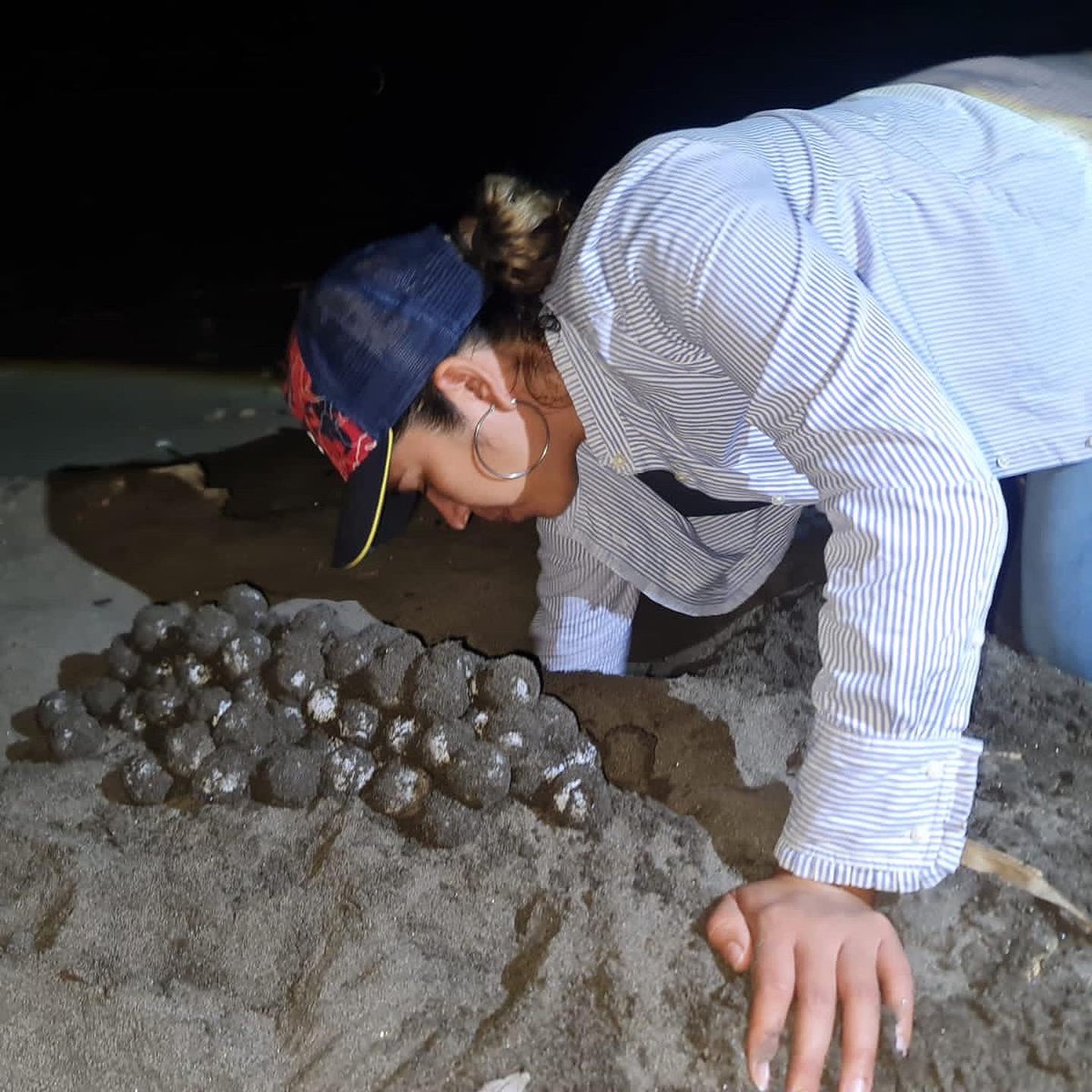 CONAPgt's tweet photo. ⚠️ #Ahora | #TortugasMarinas 🐢
#PatrullajeNocturno
Personal de #CONAPSuroriente inicia con actividad de recolección de huevos de #TortugaMarina en las comunidades La Barrona, Las Barritas, La Blanca y la Garita Chapina, del departamento de #Jutiapa👇. https://t.co/InWD7cEYWe