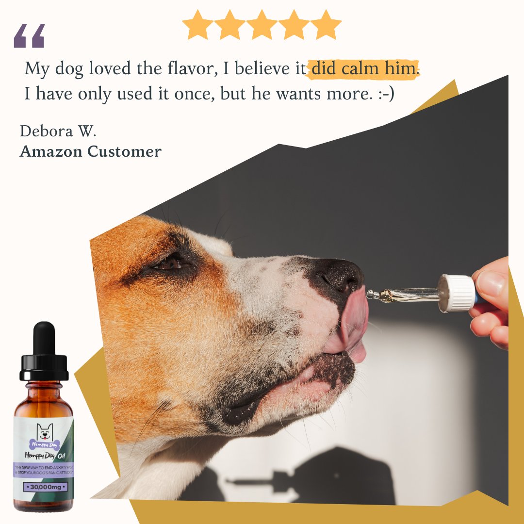 Hemppy Feedback! Dogs love the taste. 🥰🥳 #dogsoftwitter