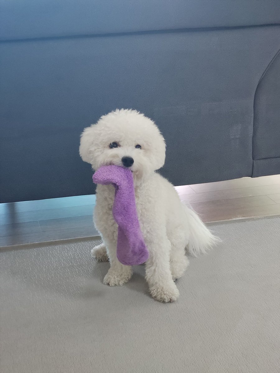 beposetopose's tweet photo. 언니 수족냉증 있어
그거 없으면 언니 죽어
내놔 https://t.co/qYP9281fMY