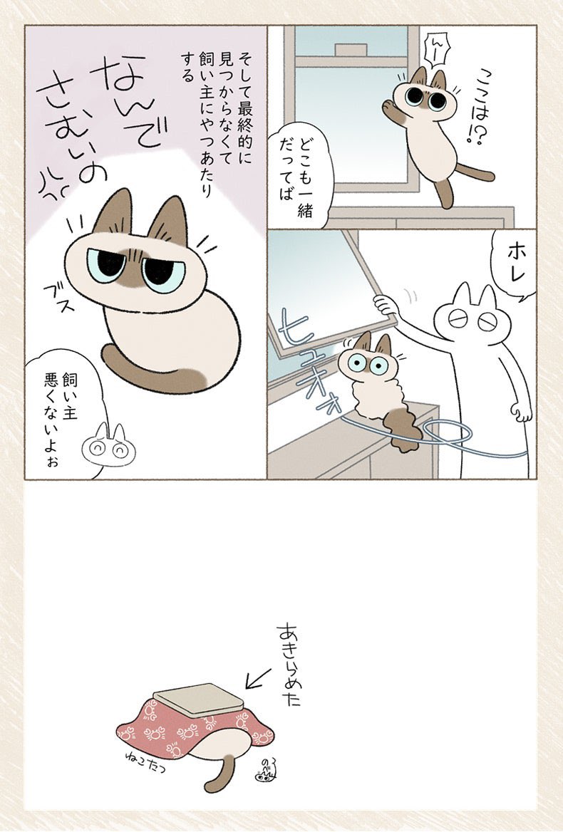 夏への扉 #シャム猫あずきさんは世界の中心 