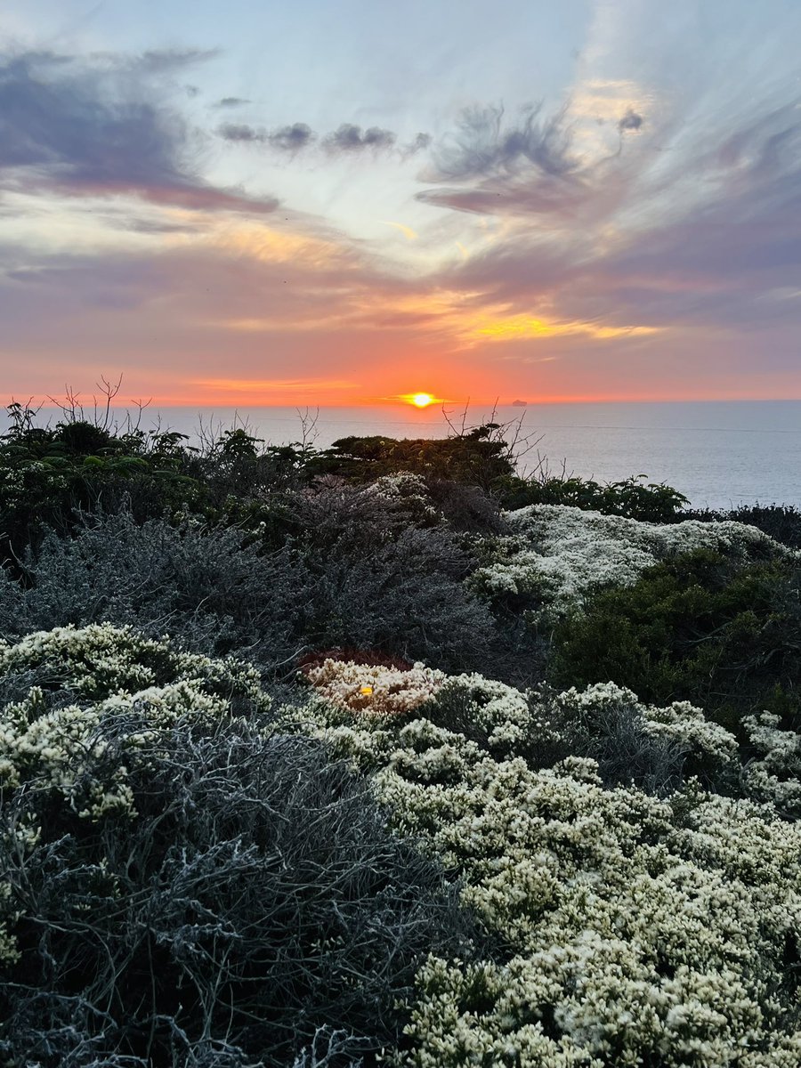 hknightsf's tweet photo. Just your standard Monday evening sunset picnic spread at the edge of the world. #AllOutSF #TotalSF https://t.co/UEzWBcA6pl