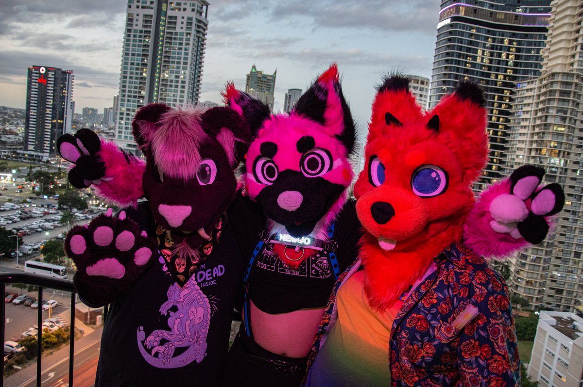 Roxxy Photo-Dog tweet media