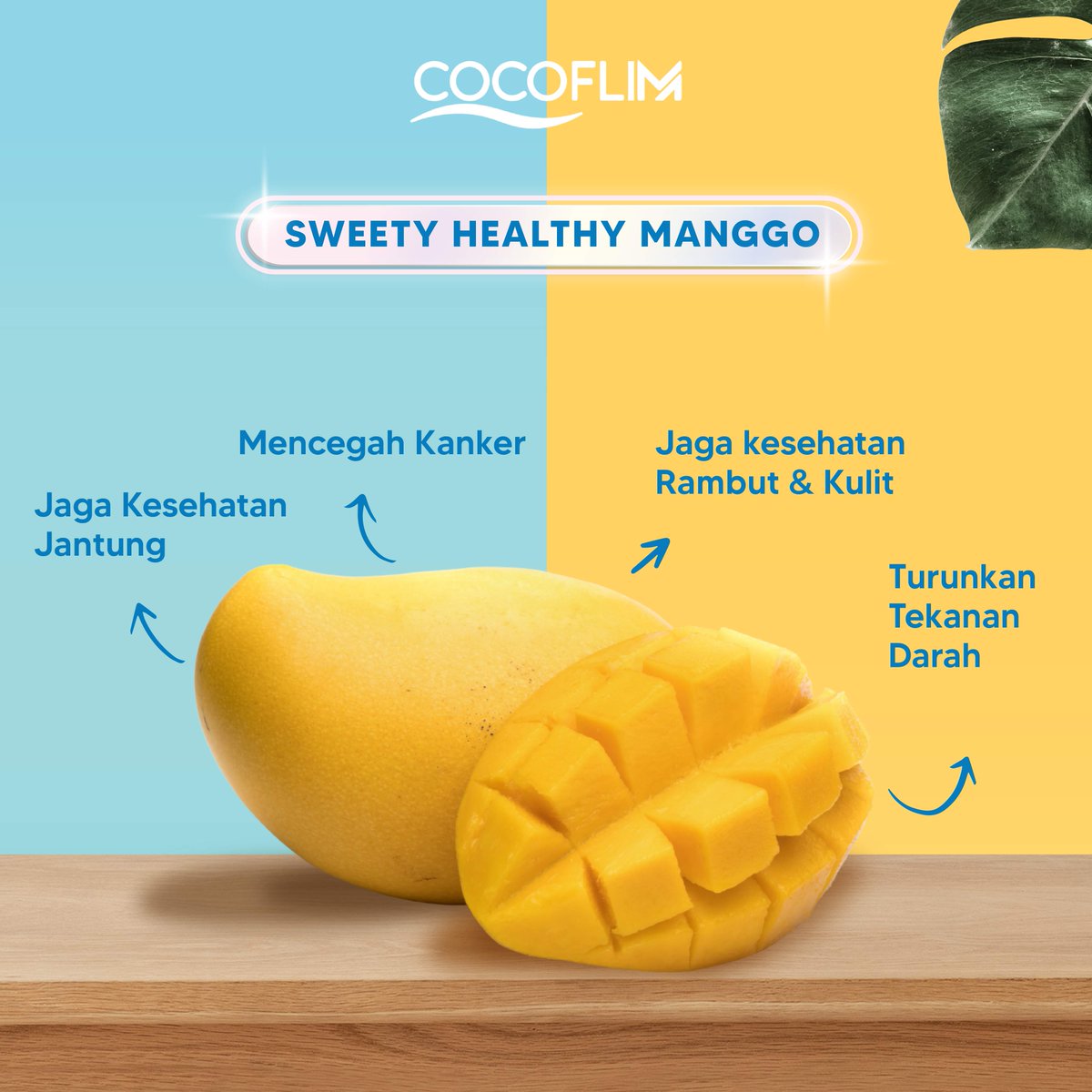 CocoflimFiber's tweet photo. Buah mangga punya magnesium, antioksidan, potassium, dan vitamin K yang melindungi pembuluh darah dari kerusakan.
Cocoflim punya kandungan mangga di dalamnya, so tunggu apalagi? yuk checkout sekarang di e-commerce kesayangan kamu 😆

#Cocoflimfiber #cocoflim #fiberdrink https://t.co/OM2B3pLKdo