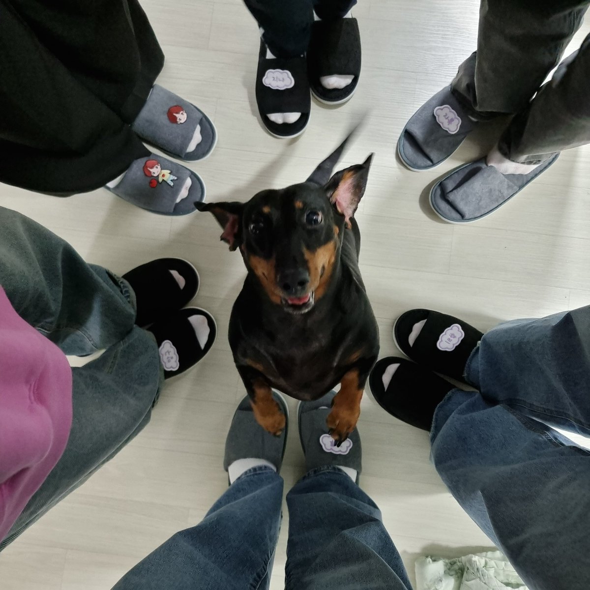 ARMY_HIME's tweet photo. 어쩌다보니 처음엔 의욕이 없었지만 ㅋㅋㅋㅋ
안 갔으면 땅을 치고 후회했을 부산콘 💜
항상 행복한 기억 끝엔 방탄과 아미가 함께! 🙂
즐거웠어요 우리 언니들 💜 2025년 콘서트 존버🎈
그리고 부산오면 무조건 우리집 오기~~~~ ㅋㅋㅋㅋㅋ

@BTS_twt https://t.co/a2y8LzEriO