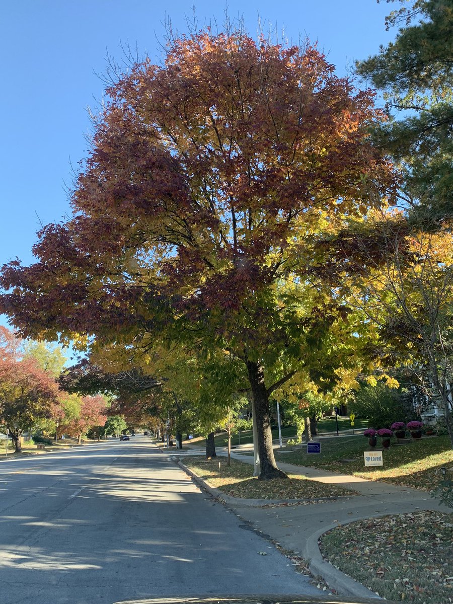 It’s Motivational Monday! Change happens at different paces and levels. Even the leaves of a tree changes on its own and in its own time. Change does happen. #GettingPhinishEdD
#BlackWomanABD #PutInTheWork
Don’t Take The Temperature Of The Room, Set-It!