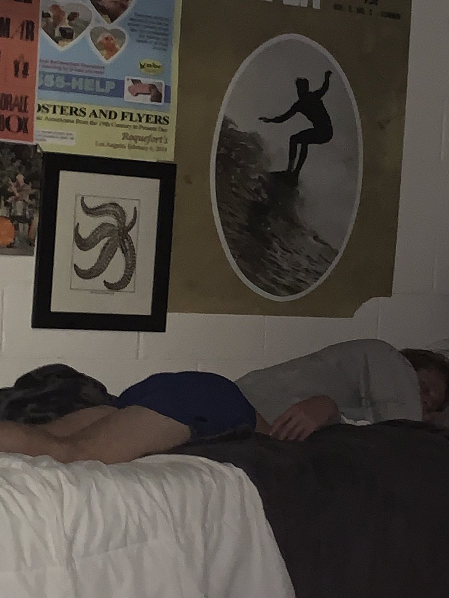 goopygoblinguy's tweet photo. Bro had too much detla 8 https://t.co/Q3d2W6X30O