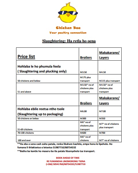 BusinessWorldLS's tweet image. U hloka hohlabeloa tsa nama le makakarane? Chicken Bae   e teng ho u thusa ka makhethe. Khoho ea nama ke M6 lekakarane M7. 50541760/68754332/ 51987710
Ba fumaneha lekhalaneng

#basothopele
#fightingpoverty