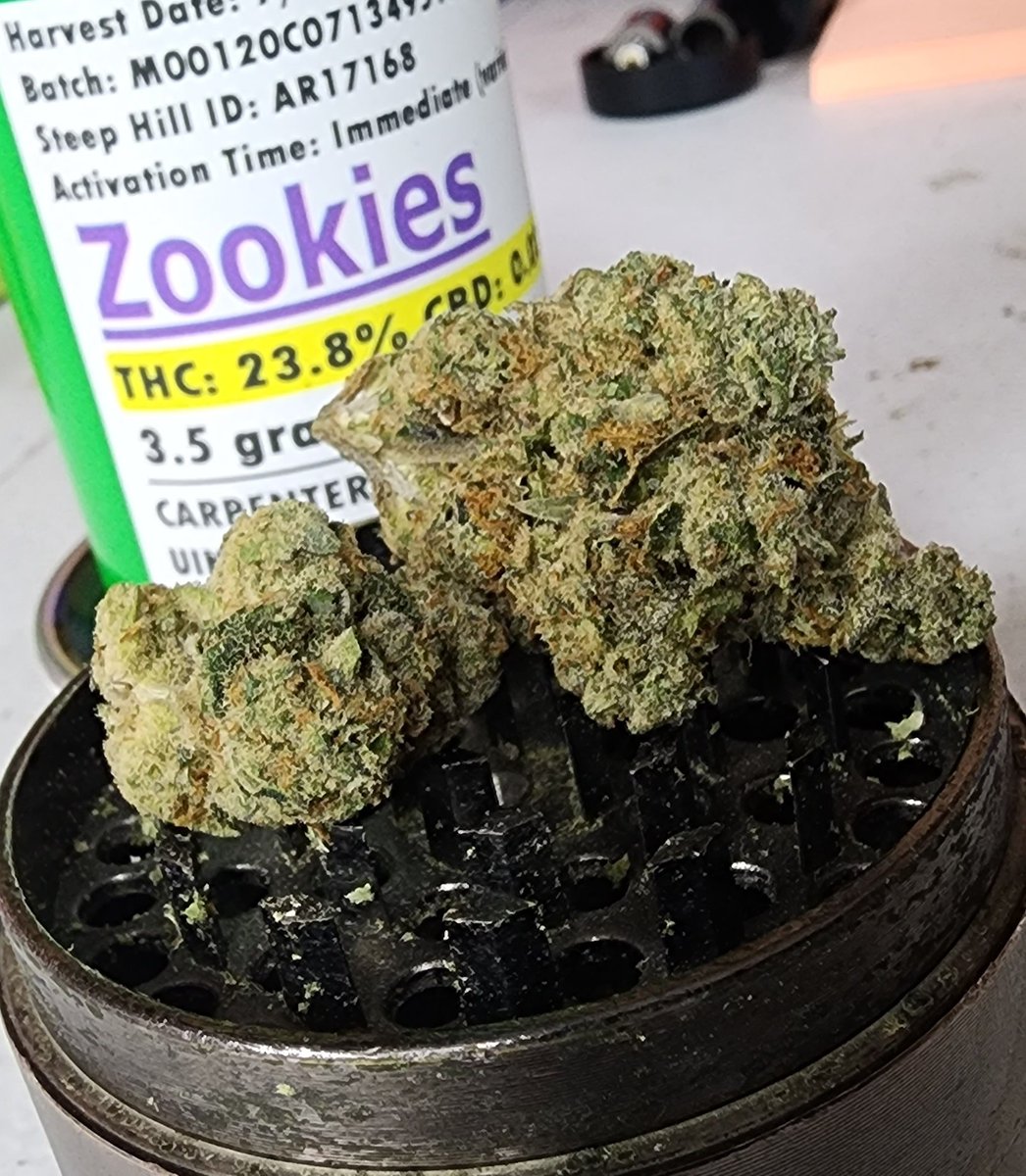 Kioti420's tweet image. Zookies by Carpenter Farms bringing the 🔥. EVERYTHING IS PERFECT 🤌

#Zookies #1quick #mmj #smokeit #CarpenterFarms