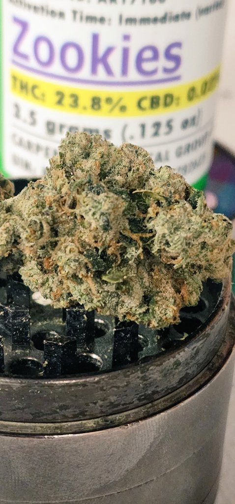 Kioti420's tweet image. Zookies by Carpenter Farms bringing the 🔥. EVERYTHING IS PERFECT 🤌

#Zookies #1quick #mmj #smokeit #CarpenterFarms