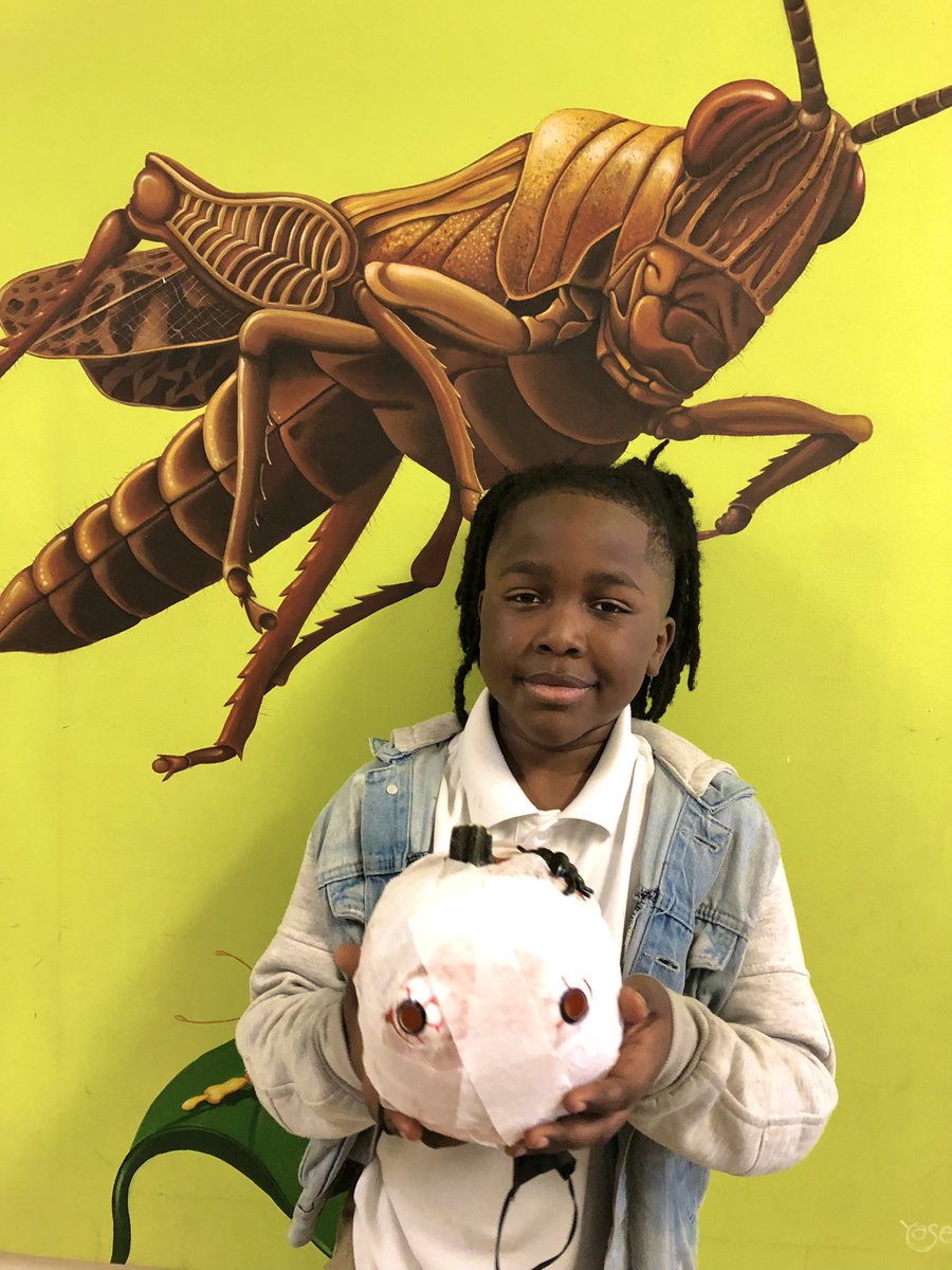 EmilyMe10531515's tweet photo. Betsy Ross STEM Magnet and G/T students having a bit of holiday fun. #PumpkinsOnParade #BOOtifulWork @ray4d_thebetsy @BetsyRossElem @HoustonISD @Teacher_Toya @TeamHISD @jeannedweido @HISDFACE @HISDChoice @AhmeshaG @Tareese8 @erinehines @tuwest @HoustonISD_GT @HISDElementary2 https://t.co/TdCQhw4WLl