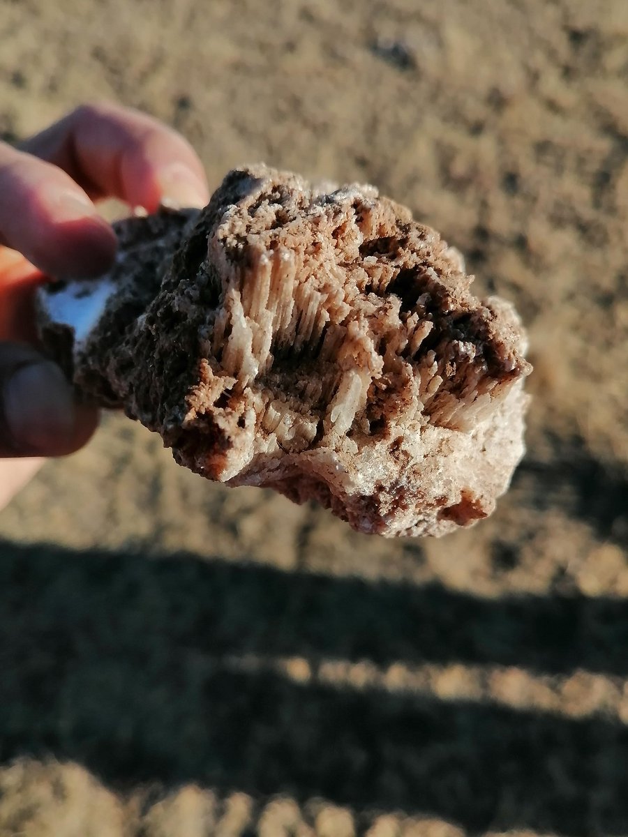 aleatenasn's tweet photo. Pretty cool soils today in the soil pits at Woodward, OK. Doing some practice for the #soiljudging contest with Dr. @feaburto @KhadkaDeepaa and the #aggiesoils team from @TAMU https://t.co/VPgM57rWNE