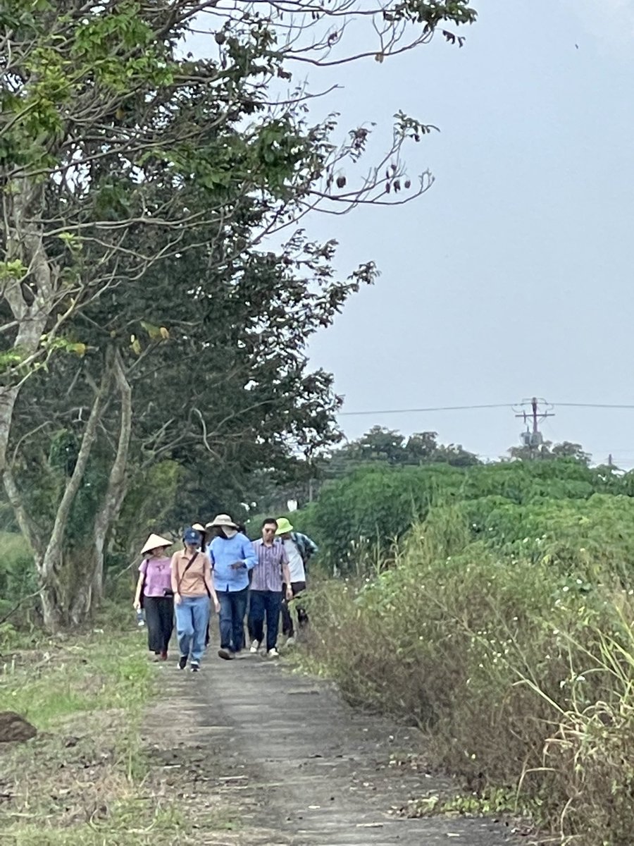 ACIARCEO's tweet photo. Great to join dynamic young research team from β¦@BiovIntCIAT_engβ© and Ministry of Ag & Rural Devt at Hung Loc research station, Dong Nai province π»π³. Working for more sustainable cassava systems supported by ACIAR π¦πΊ β¦@ayrestimβ© β¦@SenatorWongβ© β¦@AusAmbVNβ© https://t.co/BWdz6wHrEK