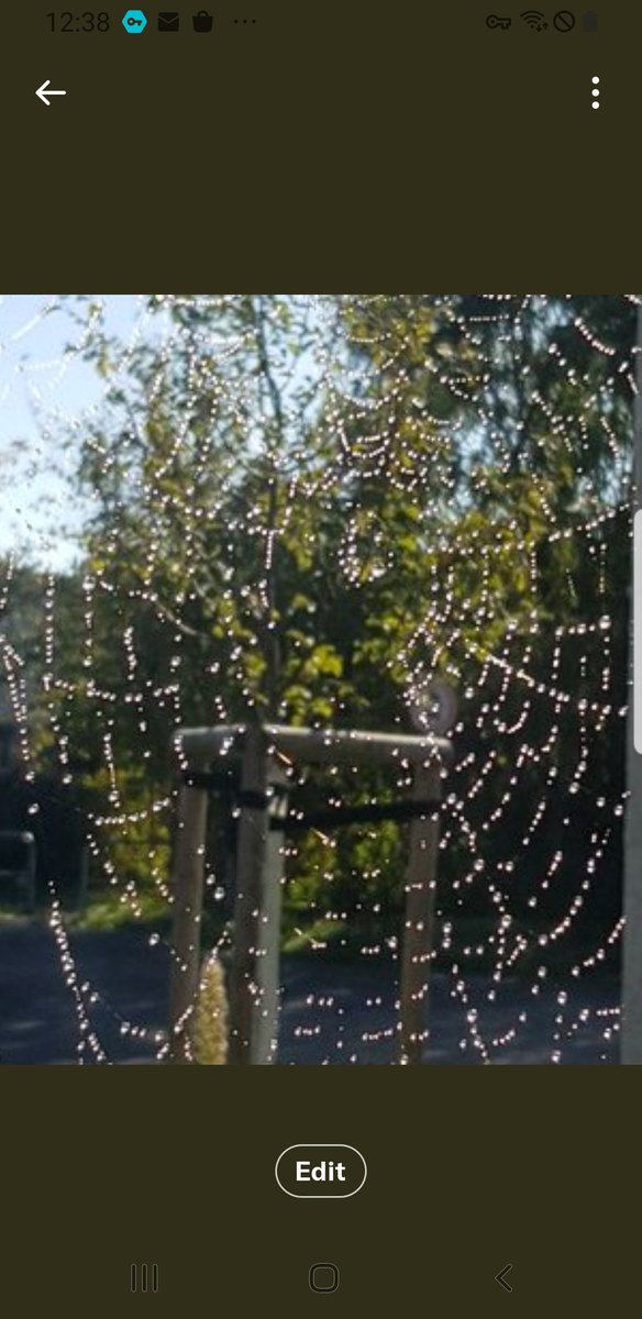 سَـنَدّ🐳🇸🇦SND🇩🇪المغيدي tweet media