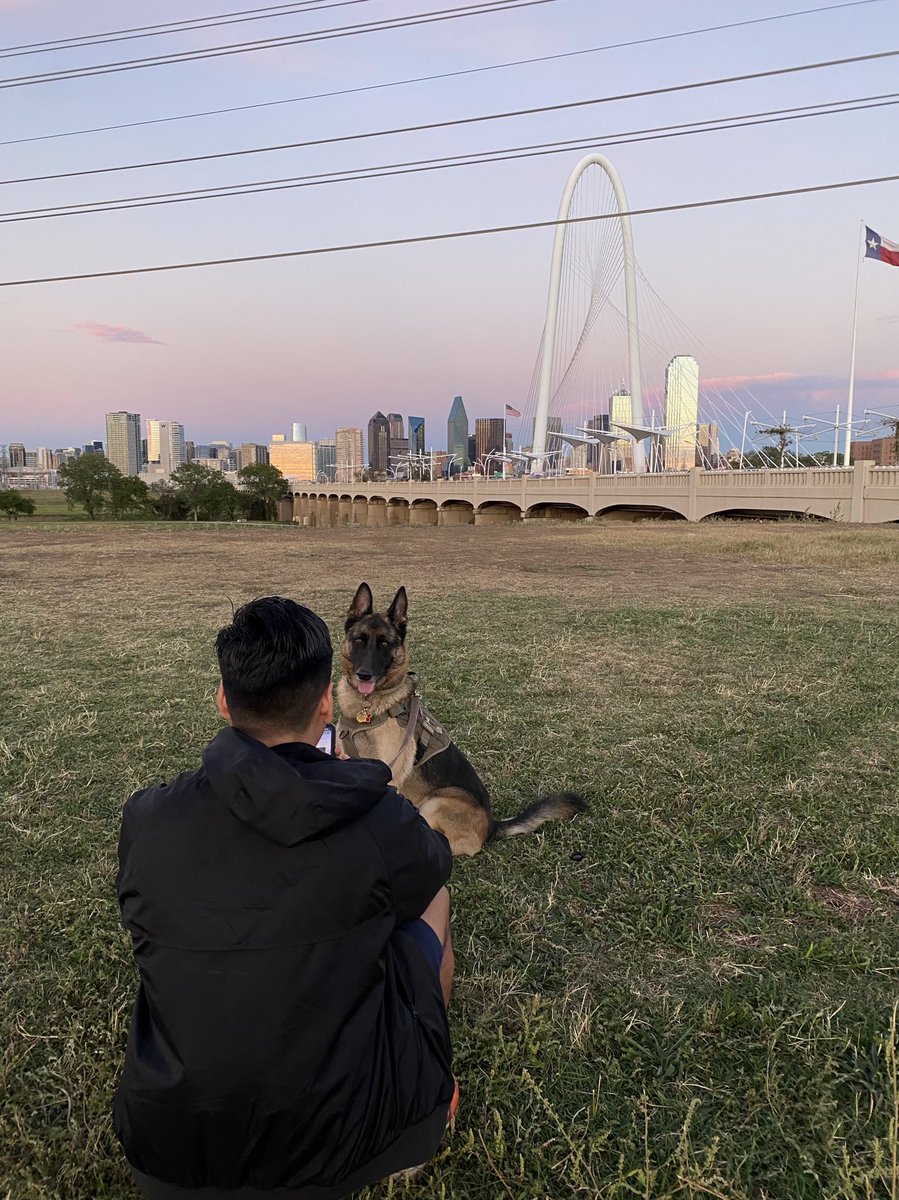 markespz's tweet image. 🤍