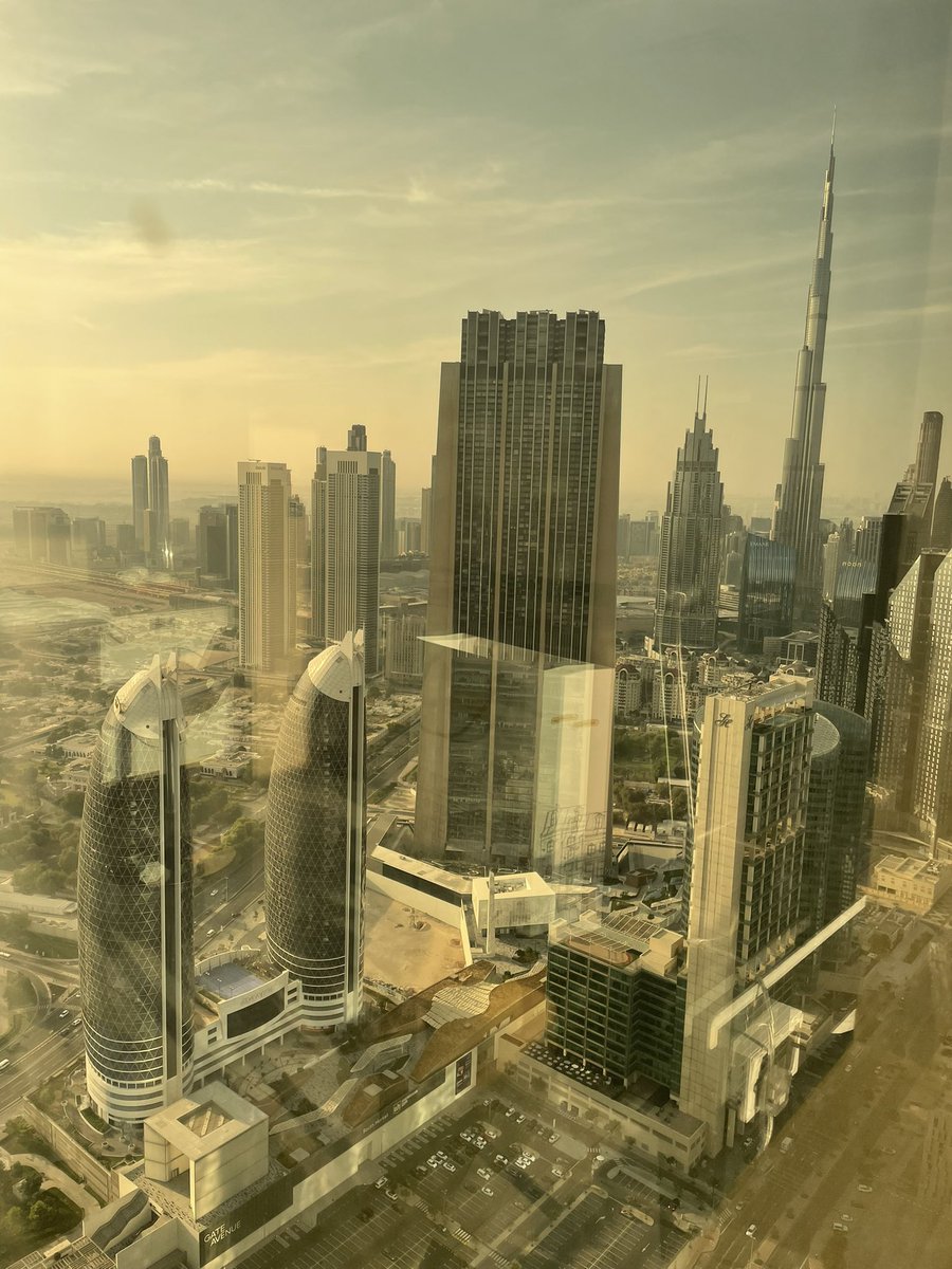 Zoya Stott tweet media