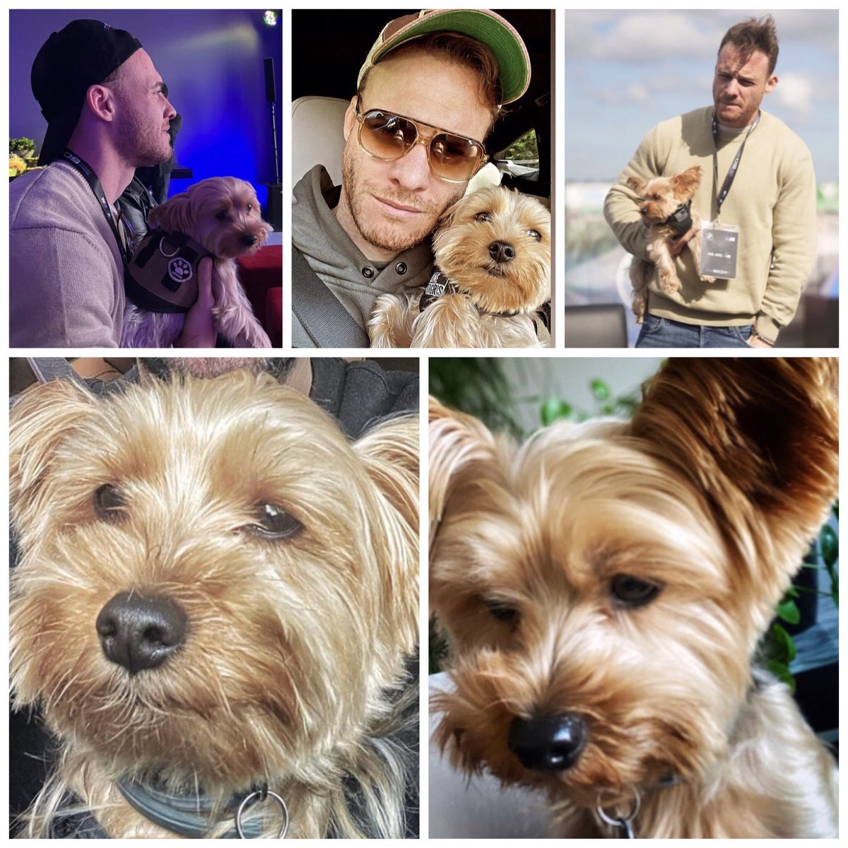 _hanker_dc's tweet photo. Happy Birthday my love🦁♥️ @KeremBursin #KeremBürsin #Hector https://t.co/LKHqbiLtYe
