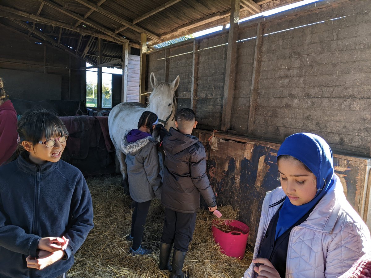 @pleasantstreetprim <a href="/shylowen/">Shy Lowen Sanctuary</a> the children are doing well learning to communicate with their horses.