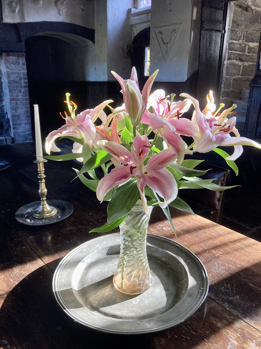 When light meets lily…