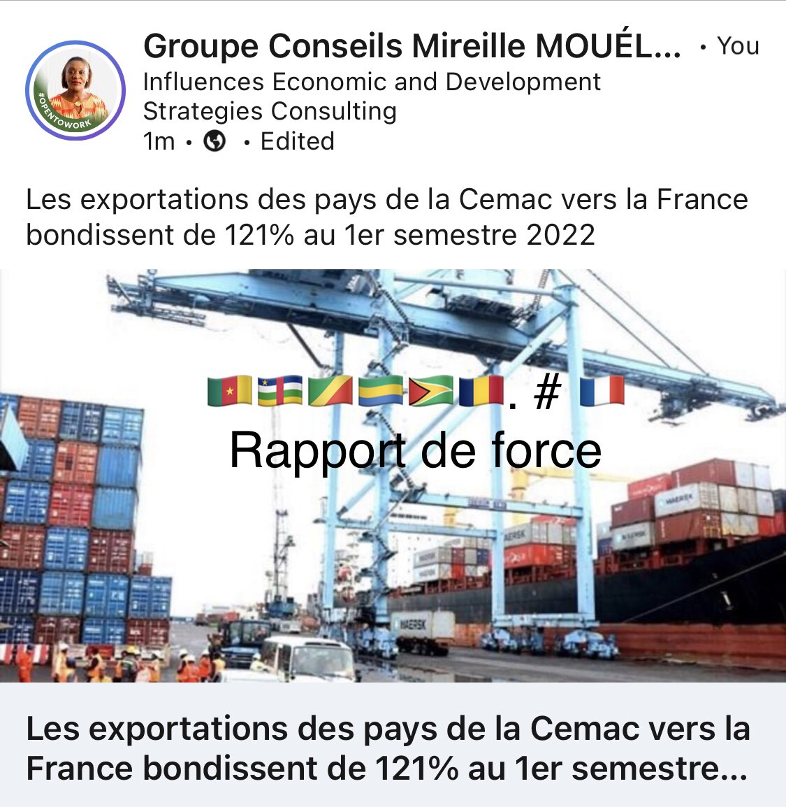 MMouéllé Investissements Etrangers tweet media