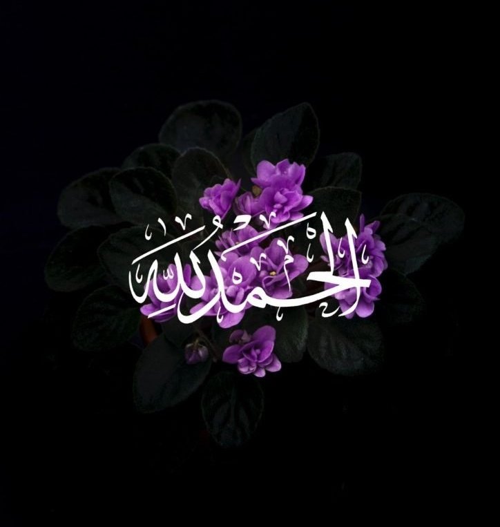 شمس الغروبHG tweet media