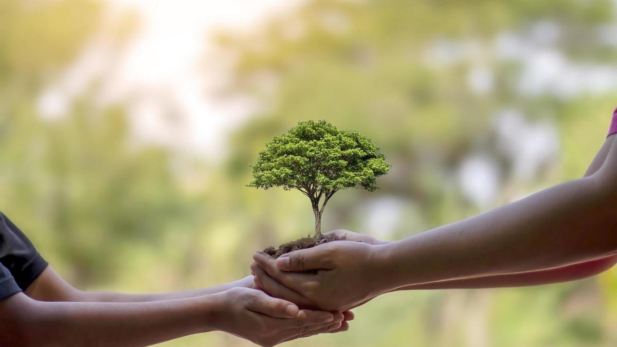 🌎Día Mundial de Protección de la Naturaleza: ¿por qué se celebra cada 18 de octubre?
laestaciononline.com.ar.leon.avnam.net/2022/10/18/dia…