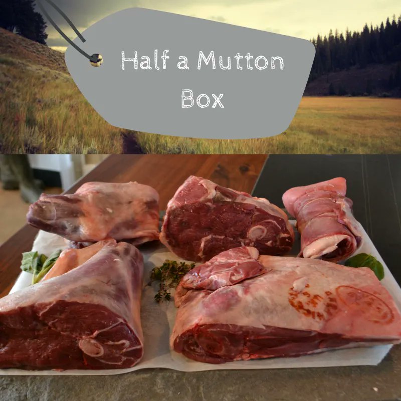 MeatsPrimal's tweet photo. Last chance: order your Cheviot #Mutton Box from Stobo Farm Estate today for delivery this Thursday!
The North Country #Cheviot ewe: a #traditionalbreed, selected & bred for its hardiness and their ability to thrive in this #wild and diverse landscape https://t.co/DPjszk5TVE https://t.co/DJ2ESlEzFV