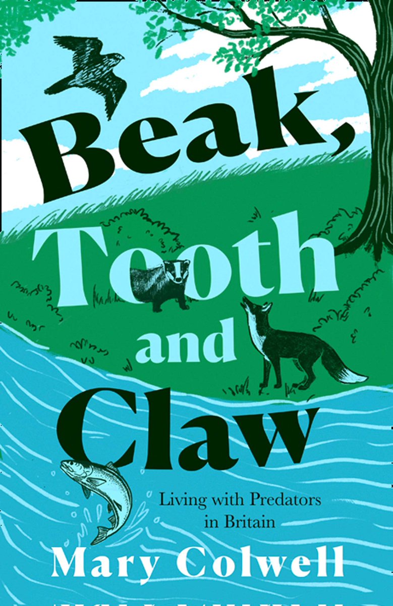 foxesfairytales's tweet photo. BEAK, TOOTH AND CLAW: LIVING WITH PREDATORS IN BRITAIN by Mary Colwell

~ Colwell has a really readable voice, and I learned a lot while really enjoying the experience.

#GoldenGirlsRead Miles
#FallIntoReading Nonfiction https://t.co/4kiXynG6en