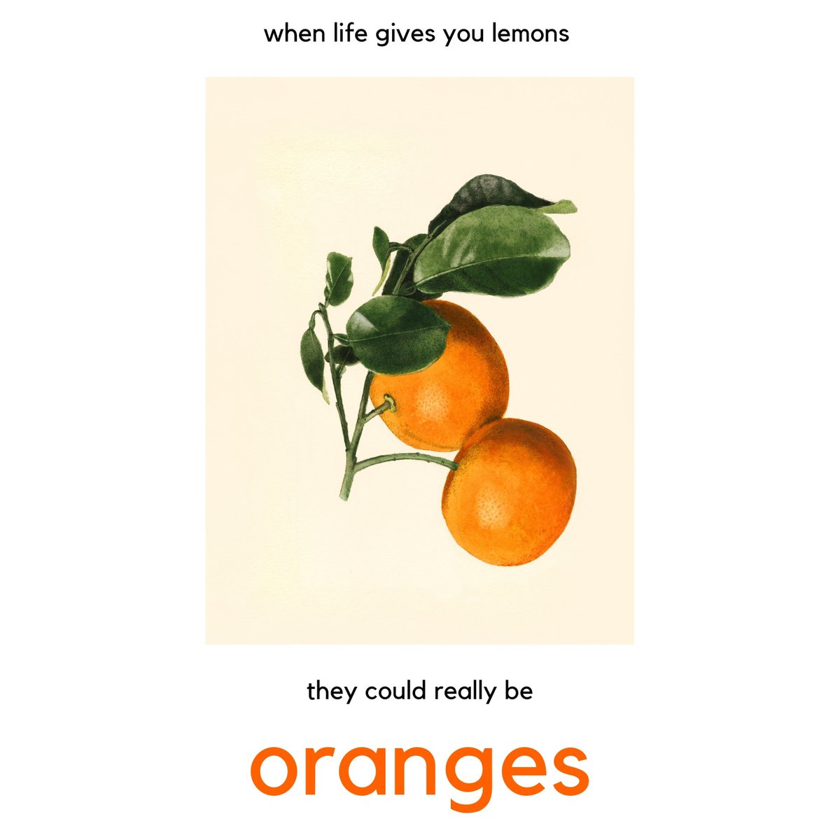 Alashrafgroup20's tweet photo. Oranges is one of the most useful fruits in our life. 🍊🍊

Our main gola in Al-Ashraf is to help people around the world to get this sweet fruit, and to make the world's countries more closer to each other. 🍊🍊🍊

Stay tuned for the new season 🍊🍊🍊🍊
https://t.co/lfhTe23pJy https://t.co/MofT9bZtwp