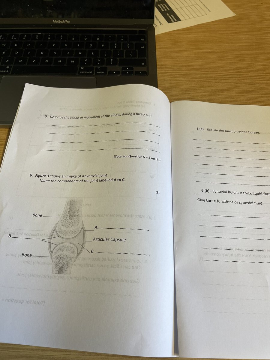 Miss Ambrose tweet media