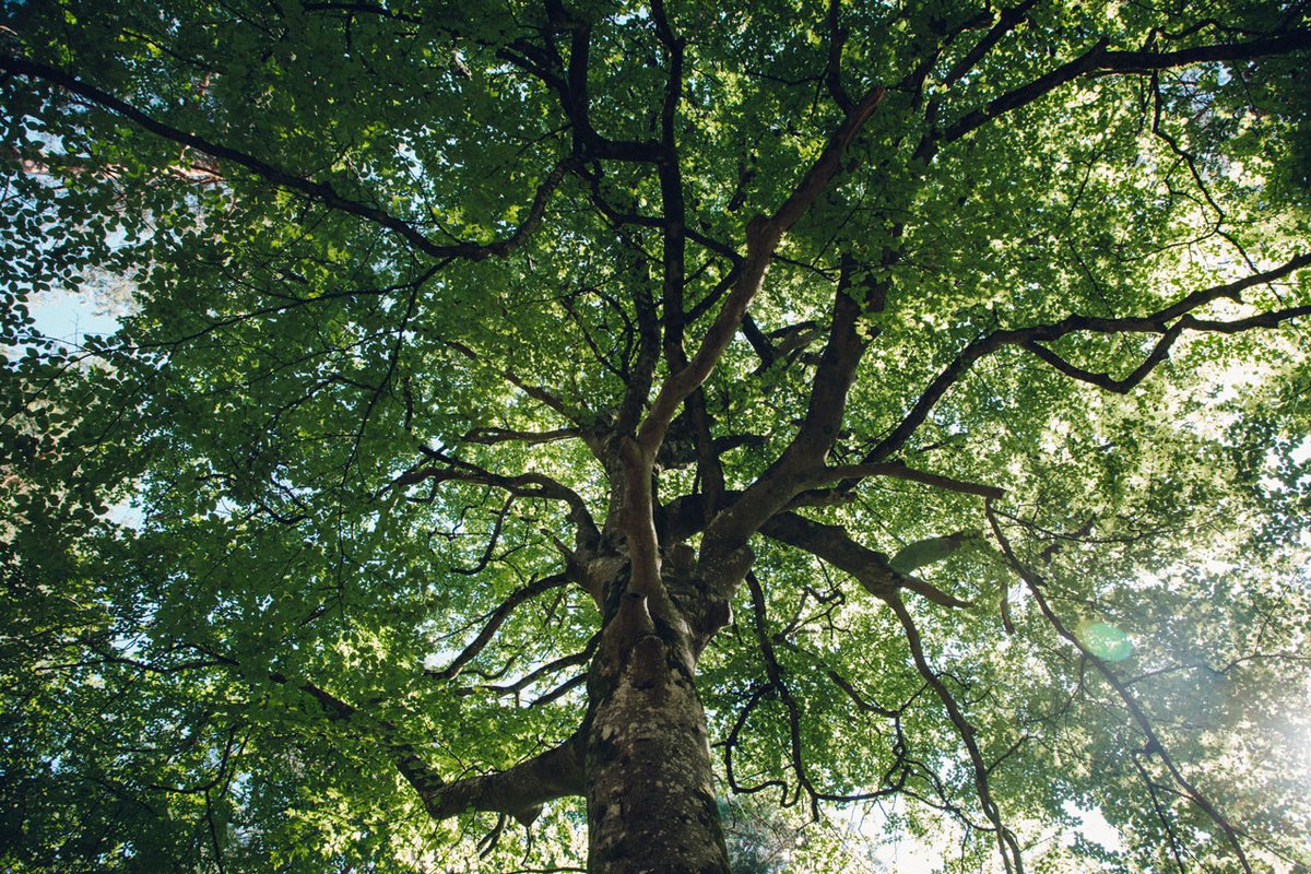 loeildeos's tweet photo. Un été en France - L'été est terminé mais la saison automnale sera également parfaite pour découvrir le Loiret, sa nature et son patrimoine 🌿#france #loiret #centrevaldeloire https://t.co/VtETBd9trn
